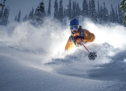 开云官网-欧冠半决赛之夜，戈贝尔用防守艺术书写篮球教科书