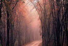 开云棋牌游戏-TES爆冷Astralis，Vetheo高光表现带领队伍反击