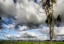 开云棋牌官方-世纪爆冷！拜仁掀翻湖人改写NBA版图