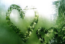 开云棋牌平台-巴黎逆转日本，坎特惊艳世界——足球盛宴背后的无限魅力