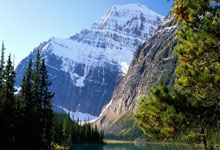 开云棋牌官网-世界网球队横扫意大利，德约科维奇逆境翻盘的传奇瞬间