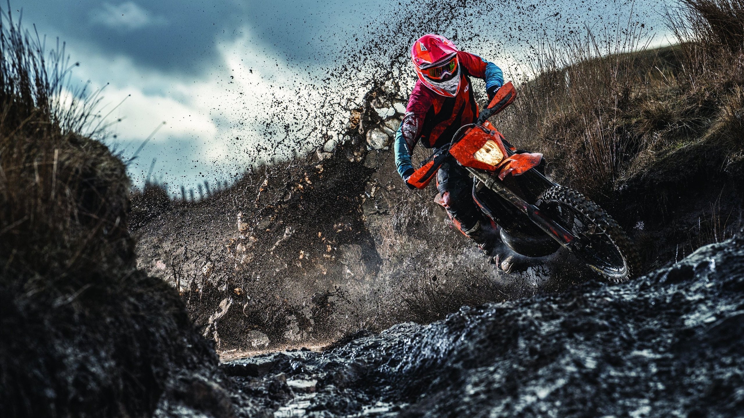 赛道上的逆袭，阿斯顿马丁力克威廉姆斯，诺里斯带队取胜